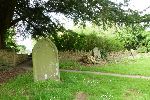Site of the CURTIS grave Gravestone under a spreading yew in the corner of the churchyard