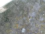 Part of stone with Turk inscribed twice