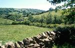 View from the churchyard