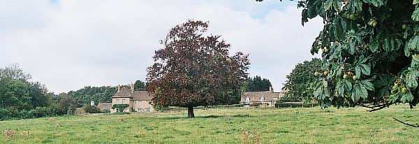 5868c1.jpg